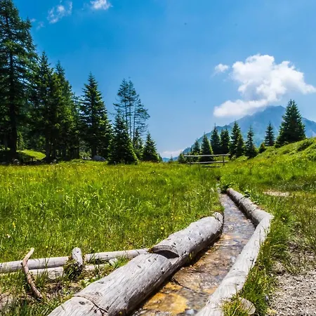 Maison Boutique Fior D'alpe 4* Sappada