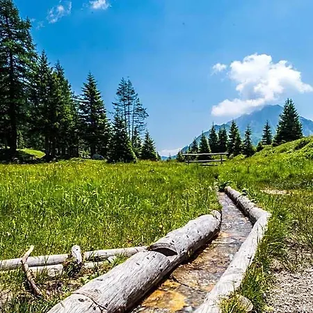 Maison Boutique Fior D'alpe 4* Sappada