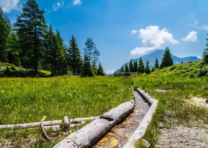 Maison Boutique Fior D'alpe 4* Sappada